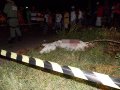 Suspeito de matar primo se apresenta na delegacia de Campo Maior